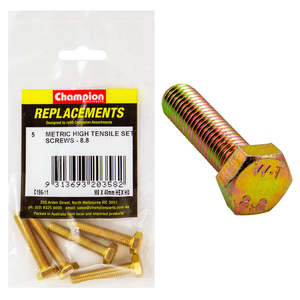 Champion M8 x 40mm x 1.25 Set Screw -Gr.8.8 -5pk
