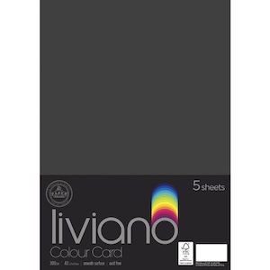Card Envelope Packs: The Paper House Liviano 300gsm A3 Colour Card Pack Of 5