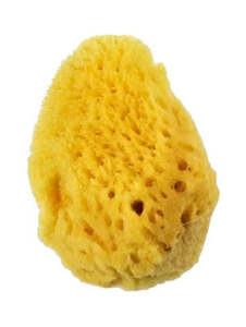 Foam Dobbers Sponges: Royal Sea Silk Sponge