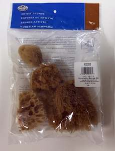 Royal Sponge Combination Set Of 4 Assorted (silk, Wool, Yellow And Jumbo)