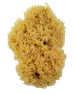 Foam Dobbers Sponges: Royal 2006 3 Inch Sea Wool Sponge