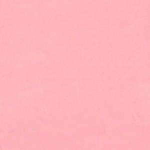 Products: Couture Creations 12x12 C Faux 3D Ring Leather Album Baby Pink