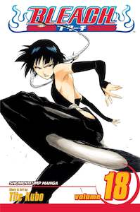 Bleach Manga Volume 18