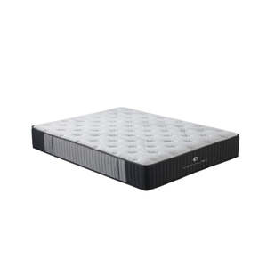 Bed Bases Mattresses: Sleepmax X-Firm Mattress