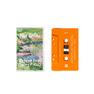 The Beths – Expert In A Dying Field Cassette (Orange)