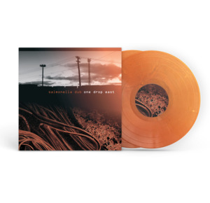 Salmonella Dub - One Drop East (2LP) (Pre-Order)