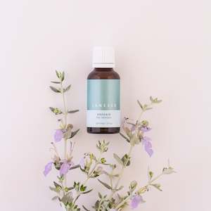 Janesce Correctives: Erodair