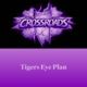 Crossroads Program: Tigers Eye Plan – Holistic Goal Detective