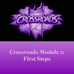 HGD Module 2: First Steps Paperback Amazon AU – HGD Crossroads
