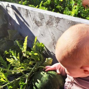 Baby Food Sensitivities Nutrition Guide