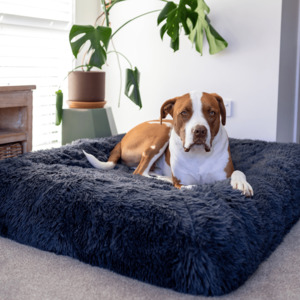 The Collection: Calming Cover