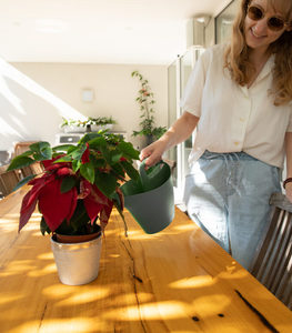 Products: 2L ColourDip™ Watering Can — Sage - Holman Industries