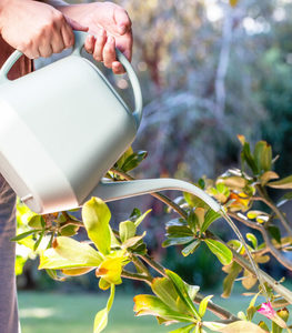 Products: 2L ColourDip™ Watering Can — Sage - Holman Industries