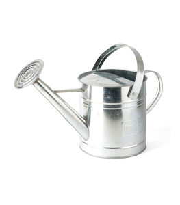 4L ColourDip™ Watering Can — Sage - Holman Industries