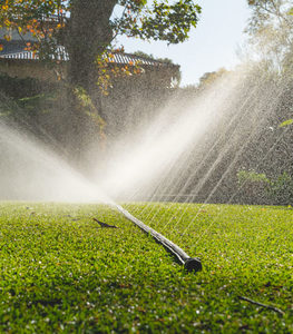 Products: ⌀12mm × 30m Yardmate™ Garden Hose - Holman Industries