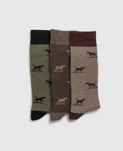 Rodd Gunn: Dogs-A-Plenty Three Pack Socks - Earth Multi