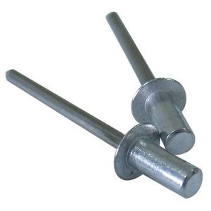 Rivet Ali Steel Sealed