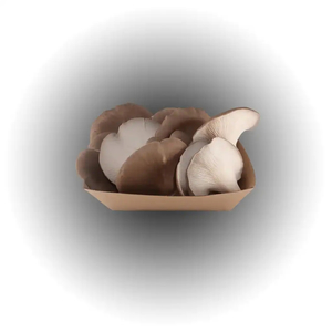 Products: Buy: Fresh Grey Oyster mushrooms 180g