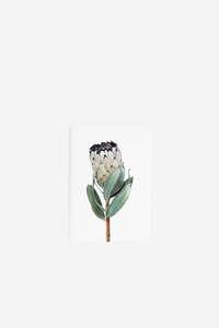 Books And Stationery: Pocket Notebook - Protea
