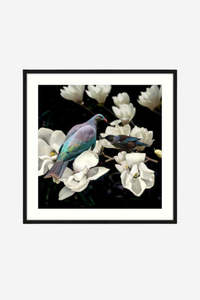 Magnolia Affair Framed Print