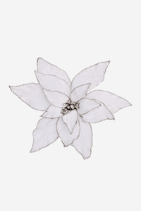 Sale: Poinsettia - Cream w/ Gold Glitter Edge