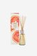 Circa Alchemy Diffuser - Grapefruit and Cedarwood