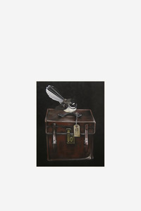 Wall Art: Piwakawaka's Case Art Print Box Frame