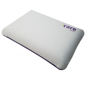 Icare: Icare ActiveX Classic Pillow