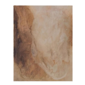 Products: Paint on Canvas | 600x800mm | Earth Tones