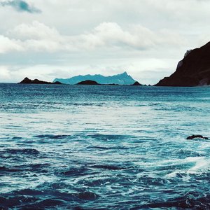 Homeground Gift Card - AMIE REDPATH Artist