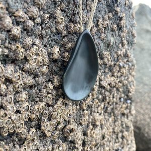 Black Jade mussel Necklace : abundance symbol - AMIE REDPATH Artist