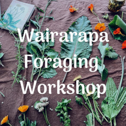 Foraging Workshops: Wairarapa Foraging Workshop
