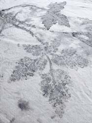 Wild Creations: Herb Robert Ecoprinted Pillow cover- single