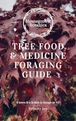 Foraging Workshops: Tree Food & Medicine Foraging Guide ~