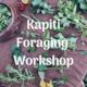 Kapiti Foraging Workshops