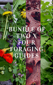 Foraging Guides: Bundle 2 x Sets of Foraging Guides ~ Edible Weeds + Trees (8 guides in total)