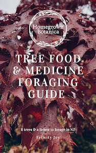 Tree Food & Medicine Foraging Guidebook