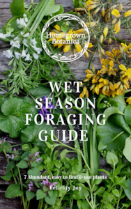 Wet Season Wild Edible Weeds Foraging Guidebook