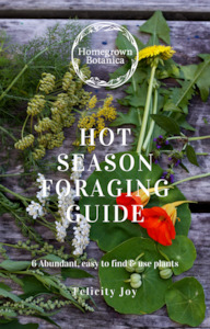 Hot Season Wild Edible Weeds Foraging Guidebook