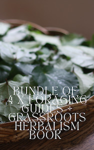 5 X Books Bundle : Foraging + Herbalism