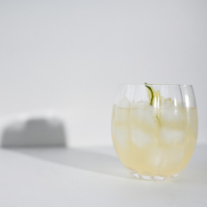 Glassware 1: Petal Stemless Glass- Clear- Set of 4