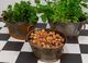 Rustic Oval Iron Pots with Handle - Set of 3 - Homelandz
