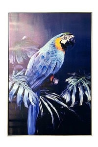 Avian stare - painted print - Homelandz