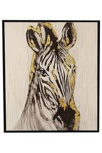 Zebra glance - Homelandz