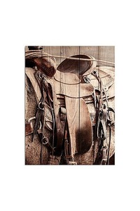 Back in the Saddle - Wood panel art - Homelandz