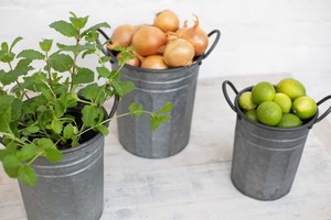 Metal Garden Pails - Set of 3 - Homelandz %