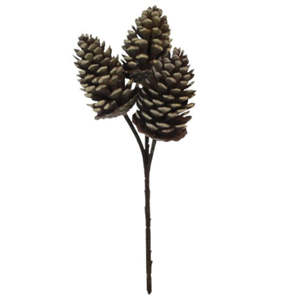 Plants Flowers: Pinecone Pick