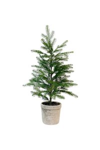 Plants Flowers: Large Pine Tree w/Cement Pot Colour: Concrete Look