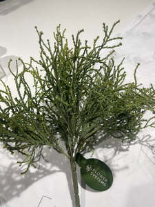 Coral Grass Bush - 28cm