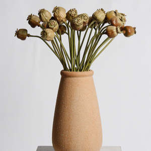 Plants Flowers: Poppy Seed Stem Dried Look